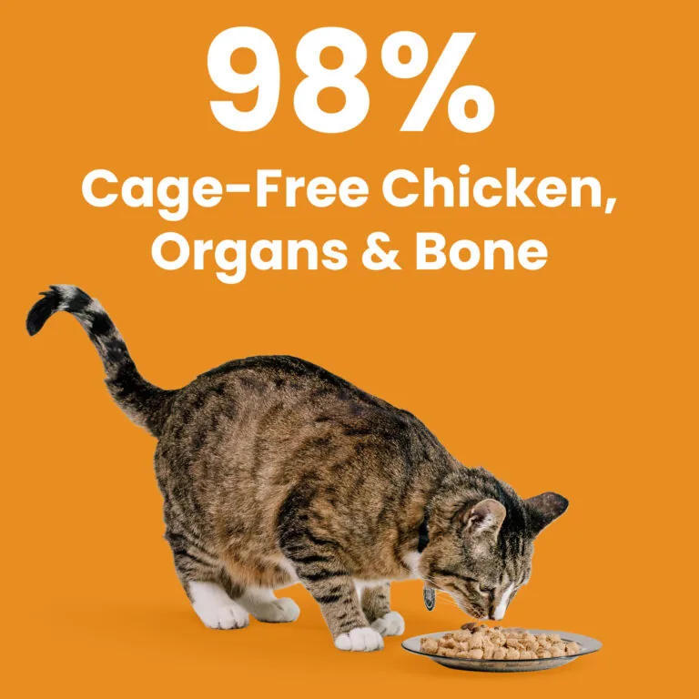 Cage-free chicken cat food with organs and bones for healthy nutrition.