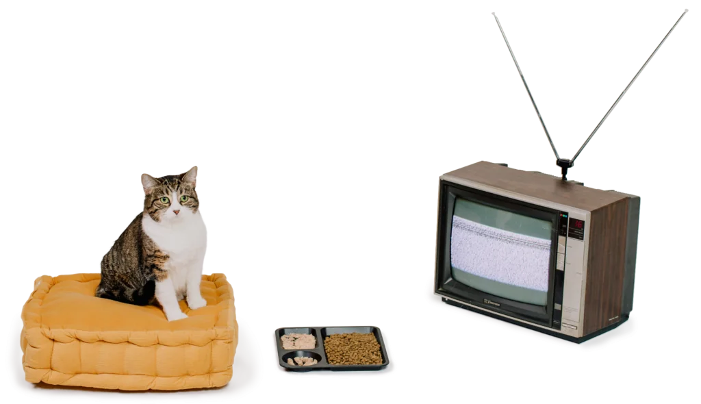 Bixbi Pet Food