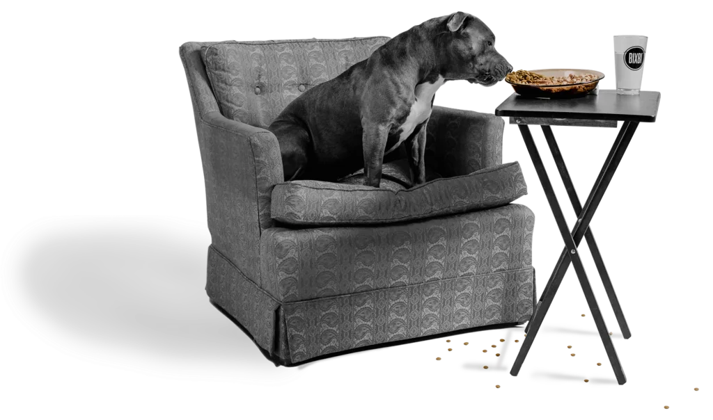 Dog • BIXBI