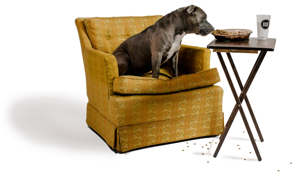 Dog • BIXBI