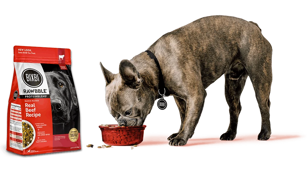 Dog eating BIXBI ProteinBlend™ Kibble from a red bowl.