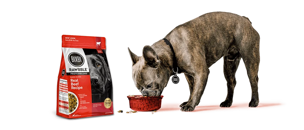 Dog eating BIXBI Rawbble dog food from a red bowl.